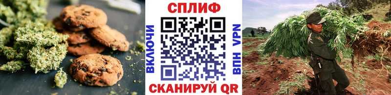 где купить наркоту  Североморск  Canna-Cookies конопля 