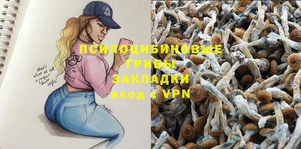 таблы Аркадак