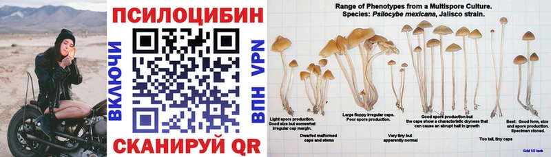 Галлюциногенные грибы Cubensis  Североморск 